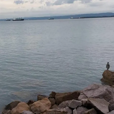 Appartamento Marino Portorose