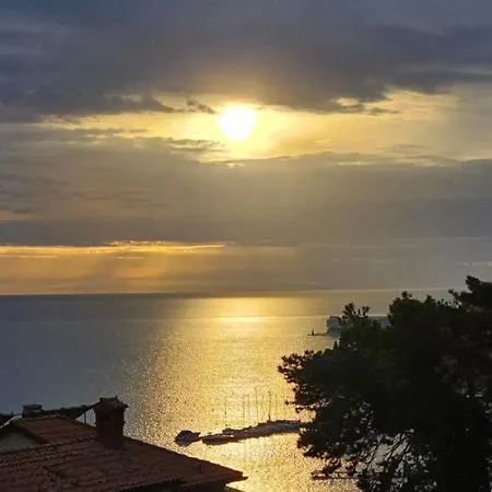 Marino Appartamento