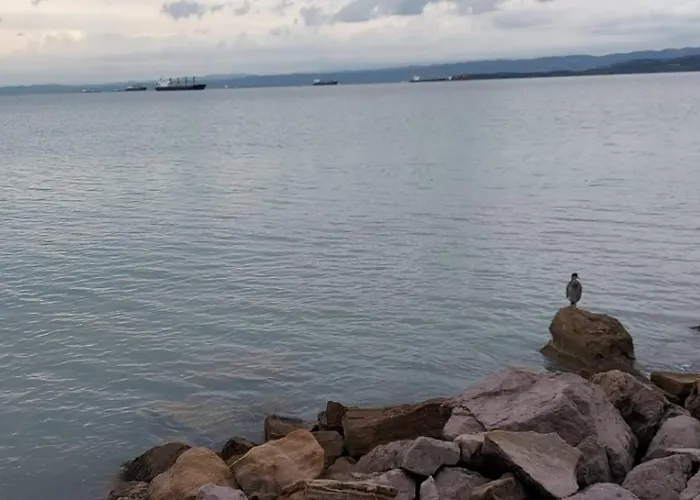 Apartamento Marino Portorož